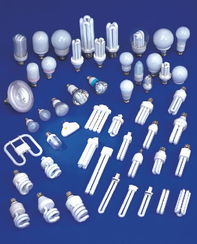 使用節(jié)能燈不會(huì)汞中毒 但須注意安全